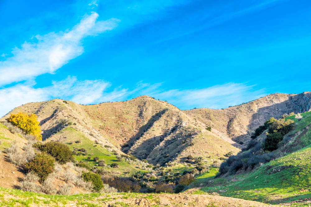Reliable Oven and Range Repair in Piru, CA